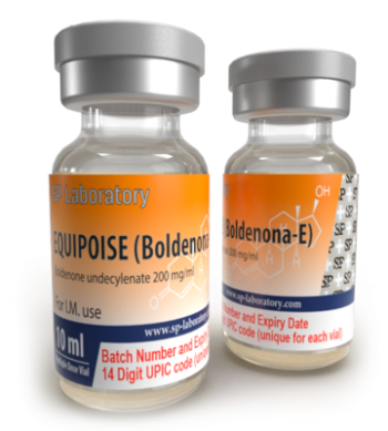SP Equipoise